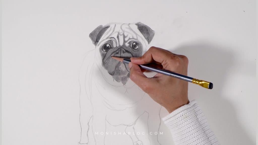 How to Draw a Pug - Step Tutorial