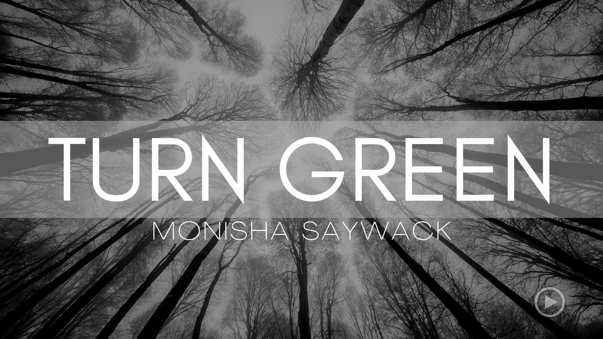 Turn Green - Monisha Saywack
